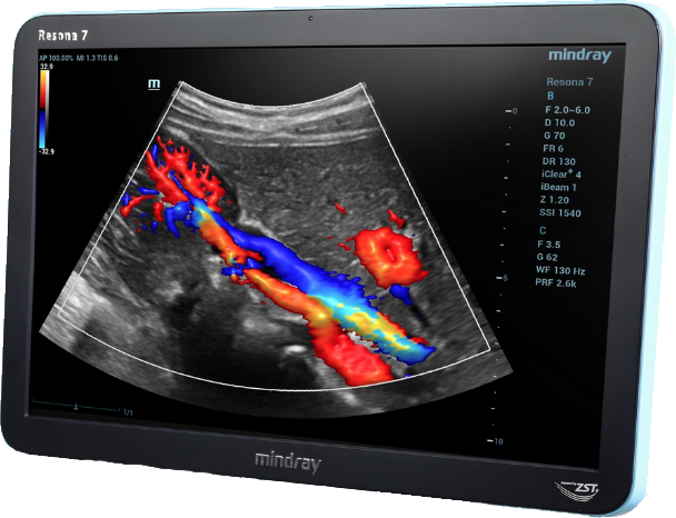 Ultrasound Associates USA  in Houston